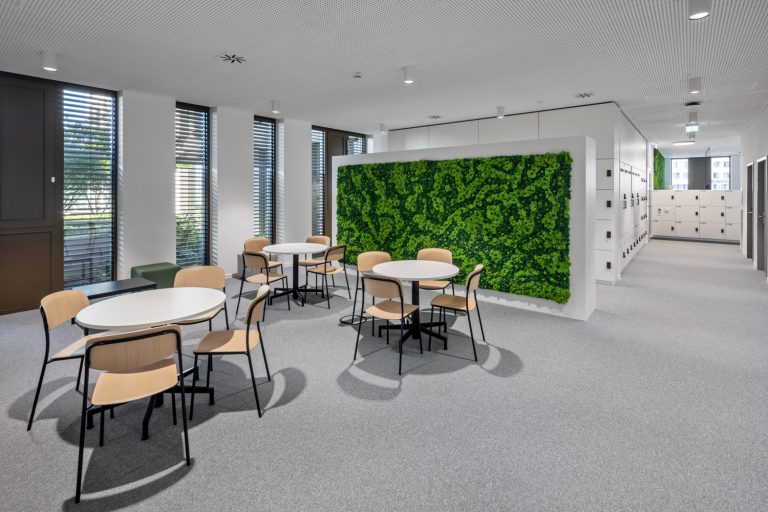 Stadtforum Dresden im Arbeitsbereich der Mitarbeiter der Stadt DD